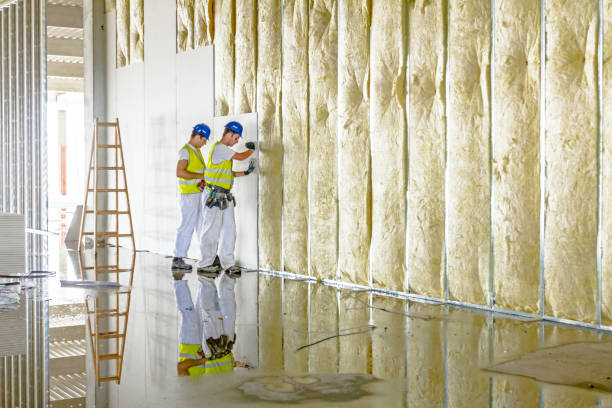 Best Spray Foam Insulation in Salado, TX